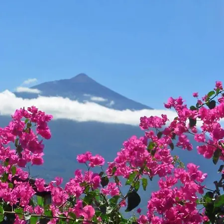 招待所 Finca Casa Vieja 圣乌尔苏拉